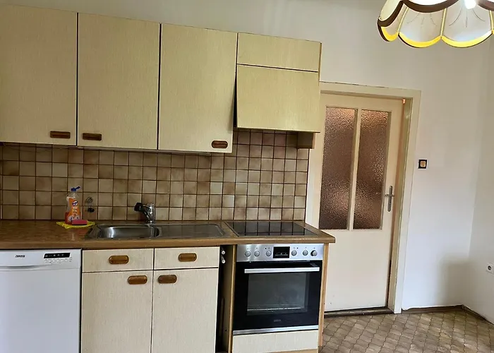 Breathtaking Shared Near Danube River /w Garden And Parking Wiedeń