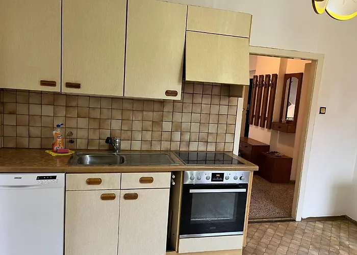 Breathtaking Shared Near Danube River /w Garden And Parking