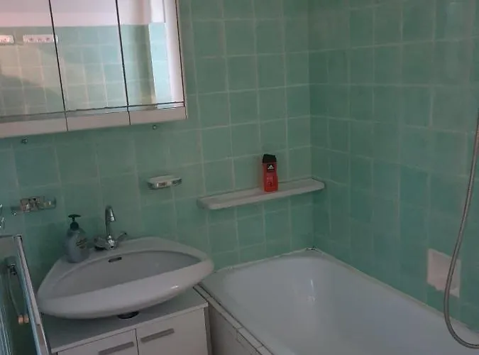 Breathtaking Shared Near Danube River /w Garden And Parking Wiedeń